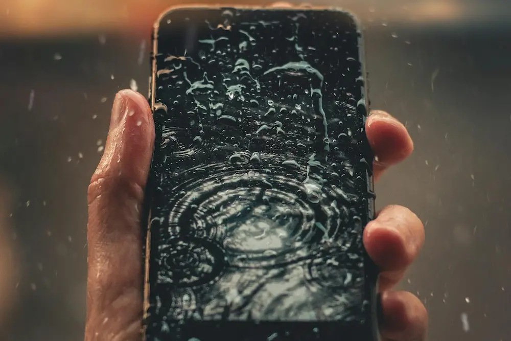 celular caiu na água